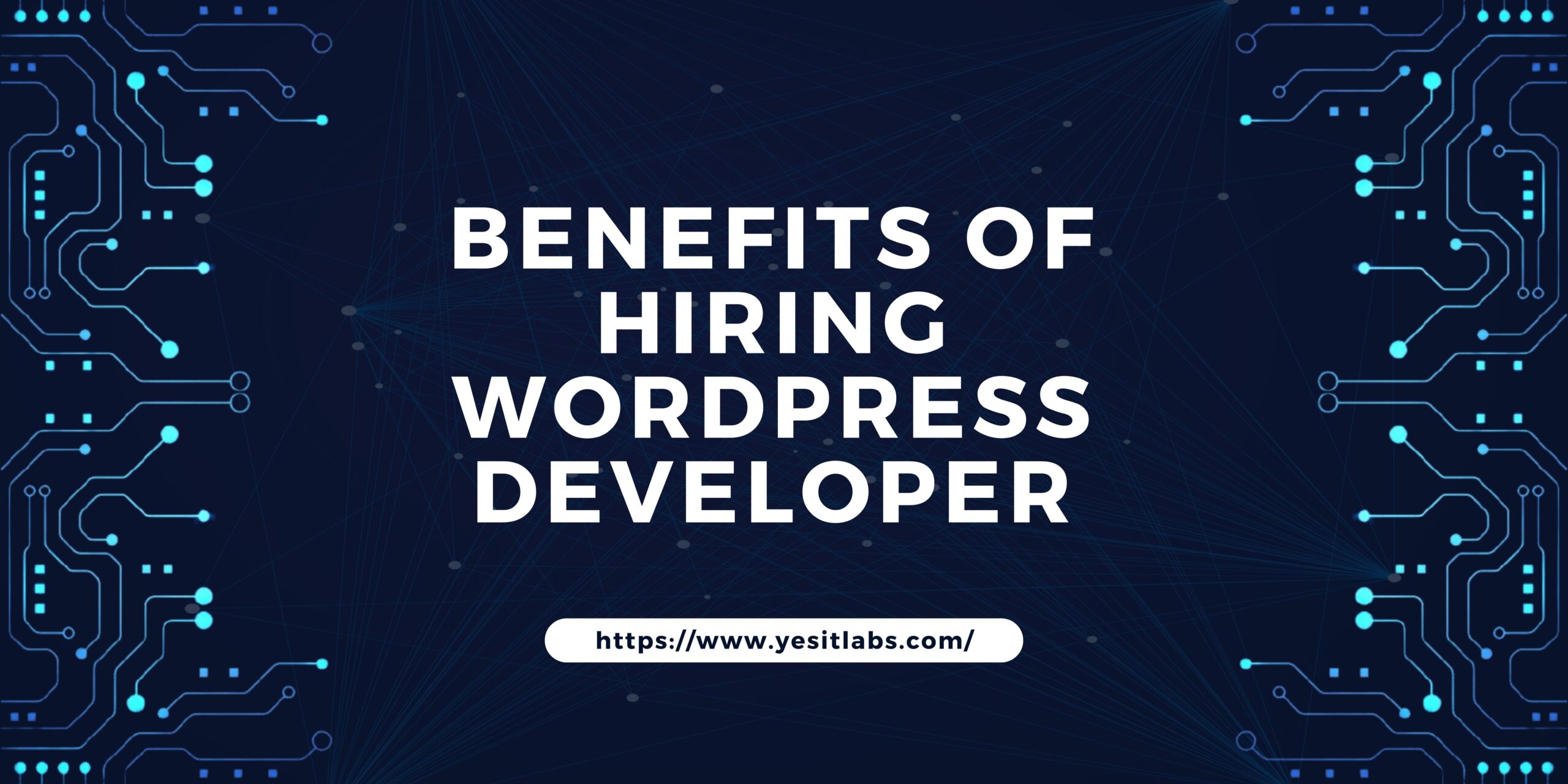 Hire WordPress developer